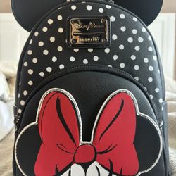 Lounge fly Back Pack 