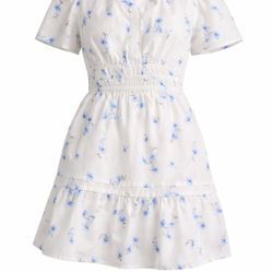 NWT Quince  100% Organic Cotton Poplin Tiered Mini Dress Romantic  Stems Size S