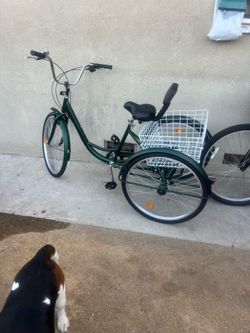 New bike