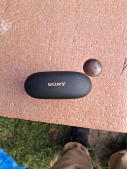 Sony earbuds