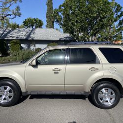 2010 Ford Escape 