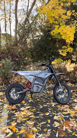 Valtinsu EM5 2500W Electric Bike