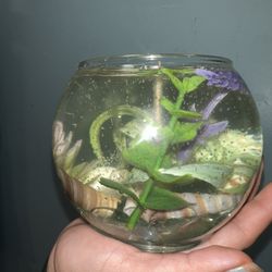 Custom Made Gel Candles 