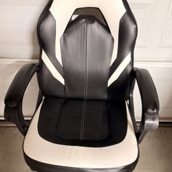 Gaming/Office Chair