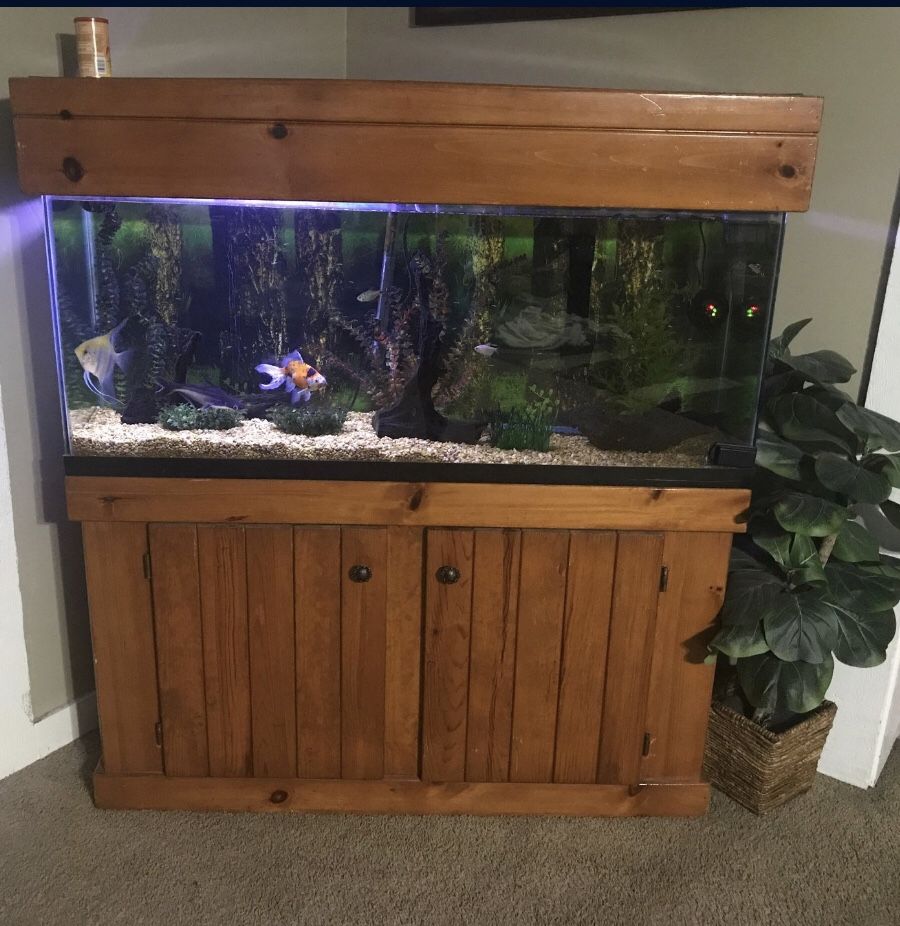 55 Galons Fish Tank