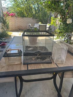3 Terrariums