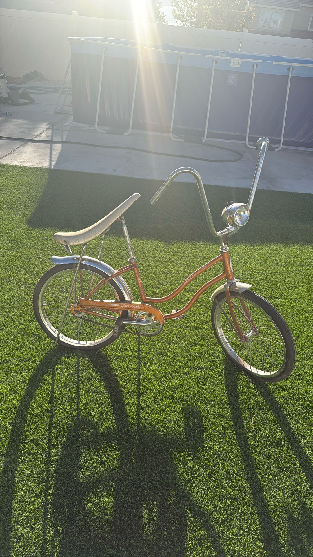 Schwinn Bike Fairlady