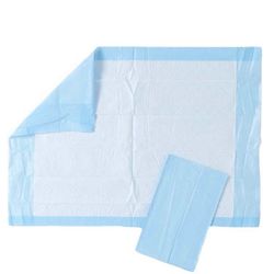 Medline Economy Protection Plus Underpads, Light Absorbency - Furniture Protection or Pet Pads