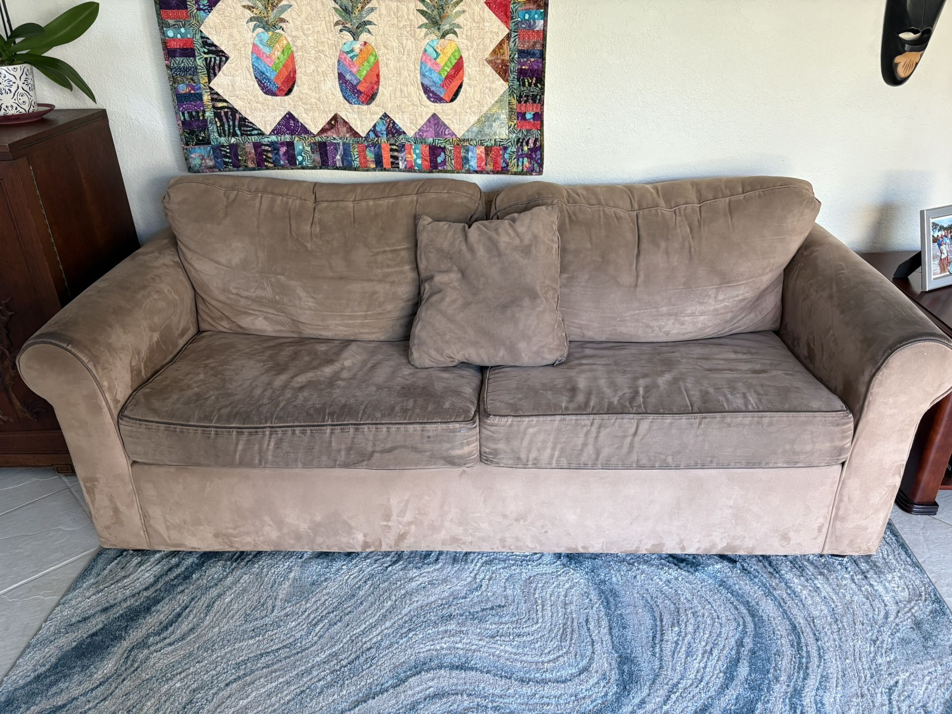 FREE Sleeper Sofa 