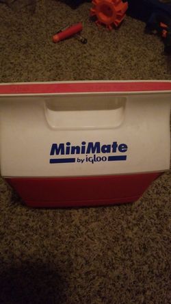 #41 Igloo Minimate