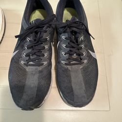 Nike Shoes (Nike Pegasus 35 Turbo & Nike Dunk Panda)