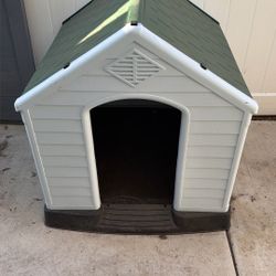 Dog House 
