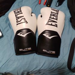 Everlast 12oz Training Boxing Gloves 