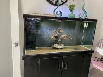 80 Gallon Fish Tank