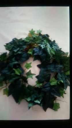 Garland 6' English Ivy Garland Green