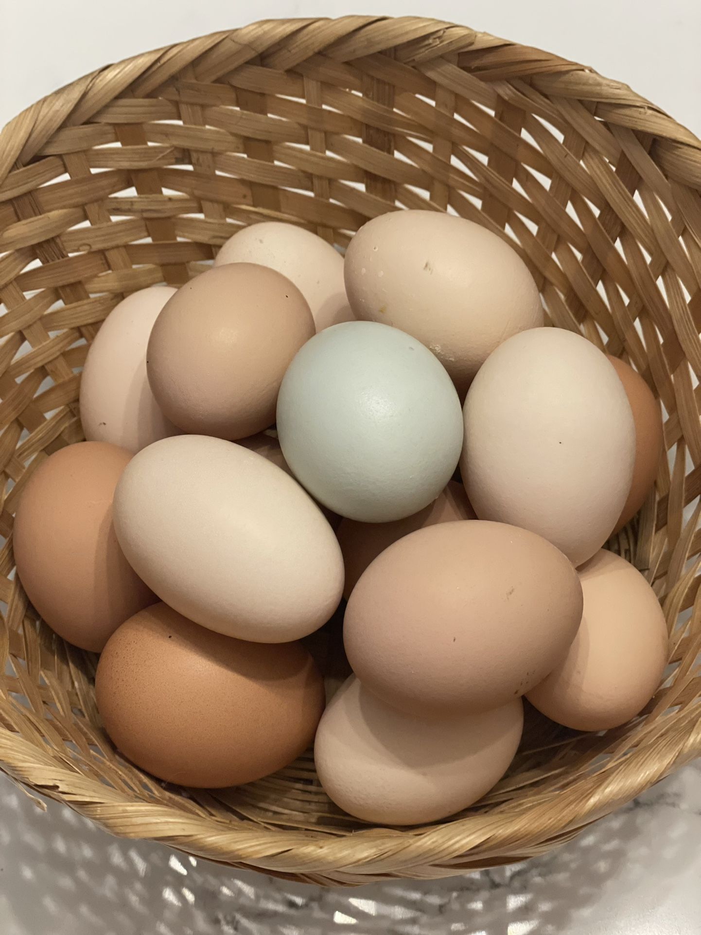 Organic Fresh Eggs 