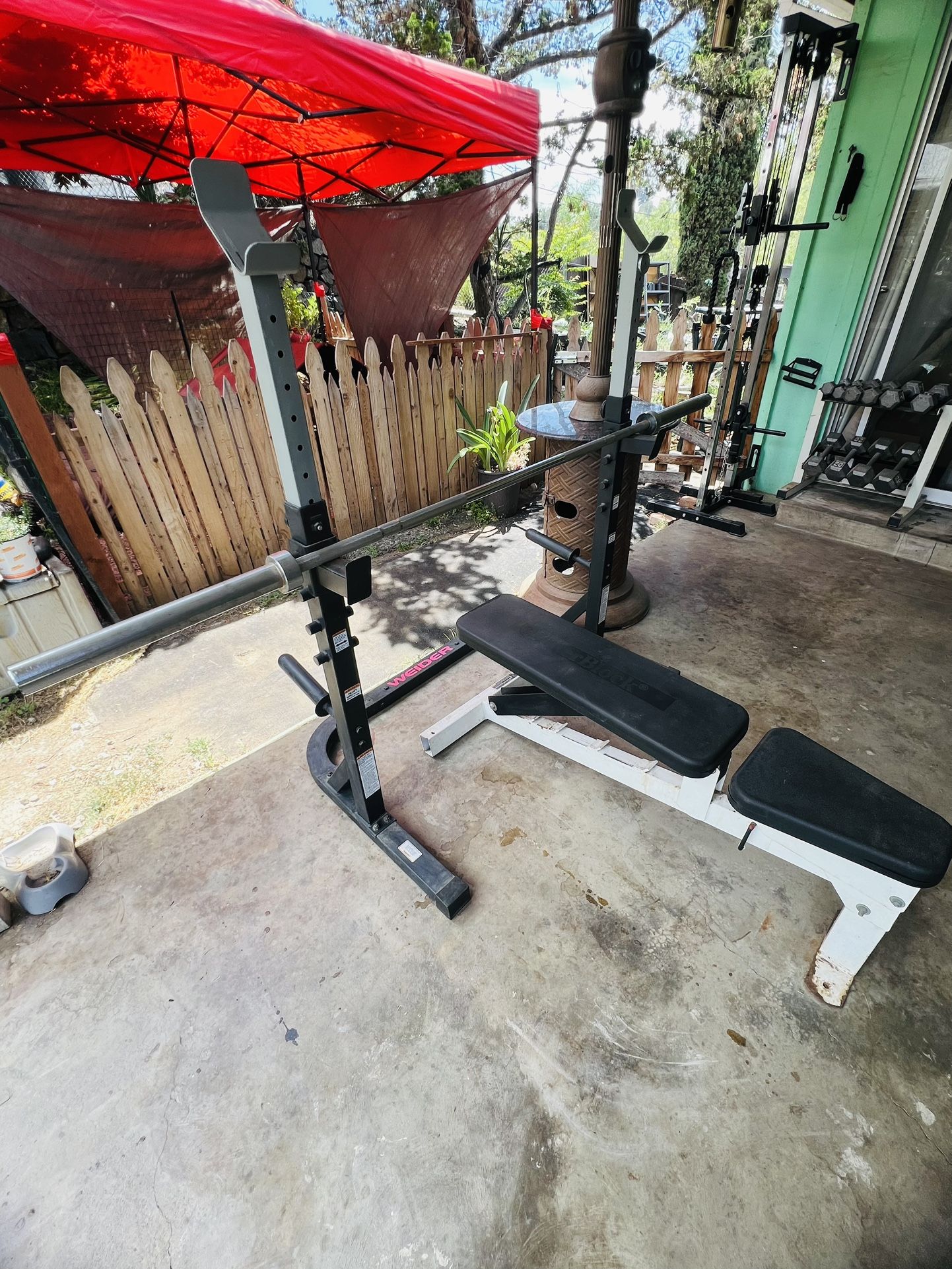 Bench press and squat rack