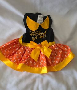 Halloween dogs and cats costume
