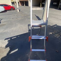 Little Gigant Ladder