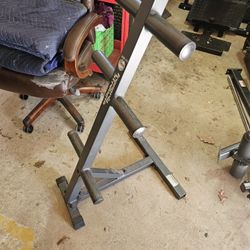 Olympic 2" weight tree rack