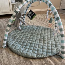 Baby Play Gym 