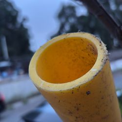 Yellow Pipe Electricity 