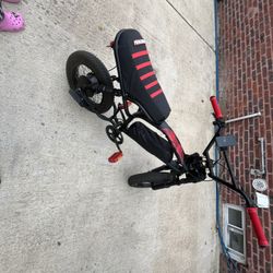 16 Inch 21 Mph Ebike No Chain 