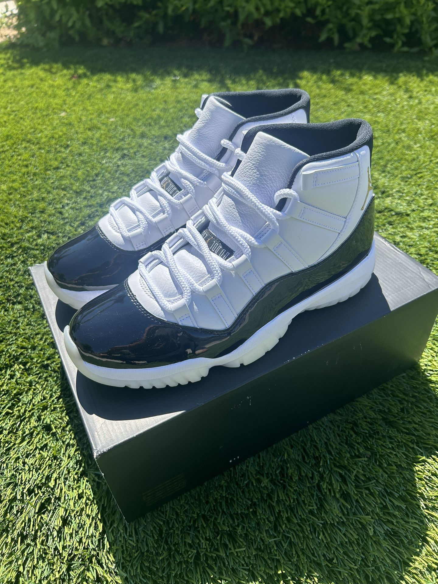 Jordan 11 Retro DMP Gratitude