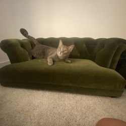 Cat Sofa 