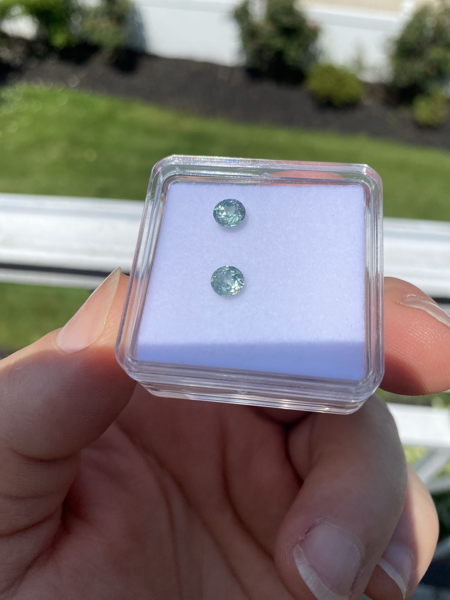 Montana Sapphires Round pair