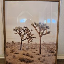 Joshua Tree Frame