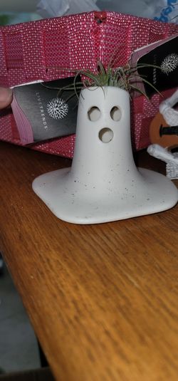 Livetrend Plants Boo Character 