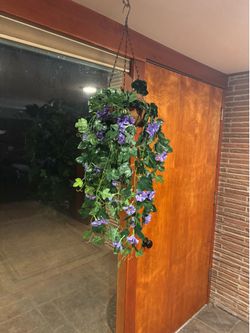 Hanging Basket