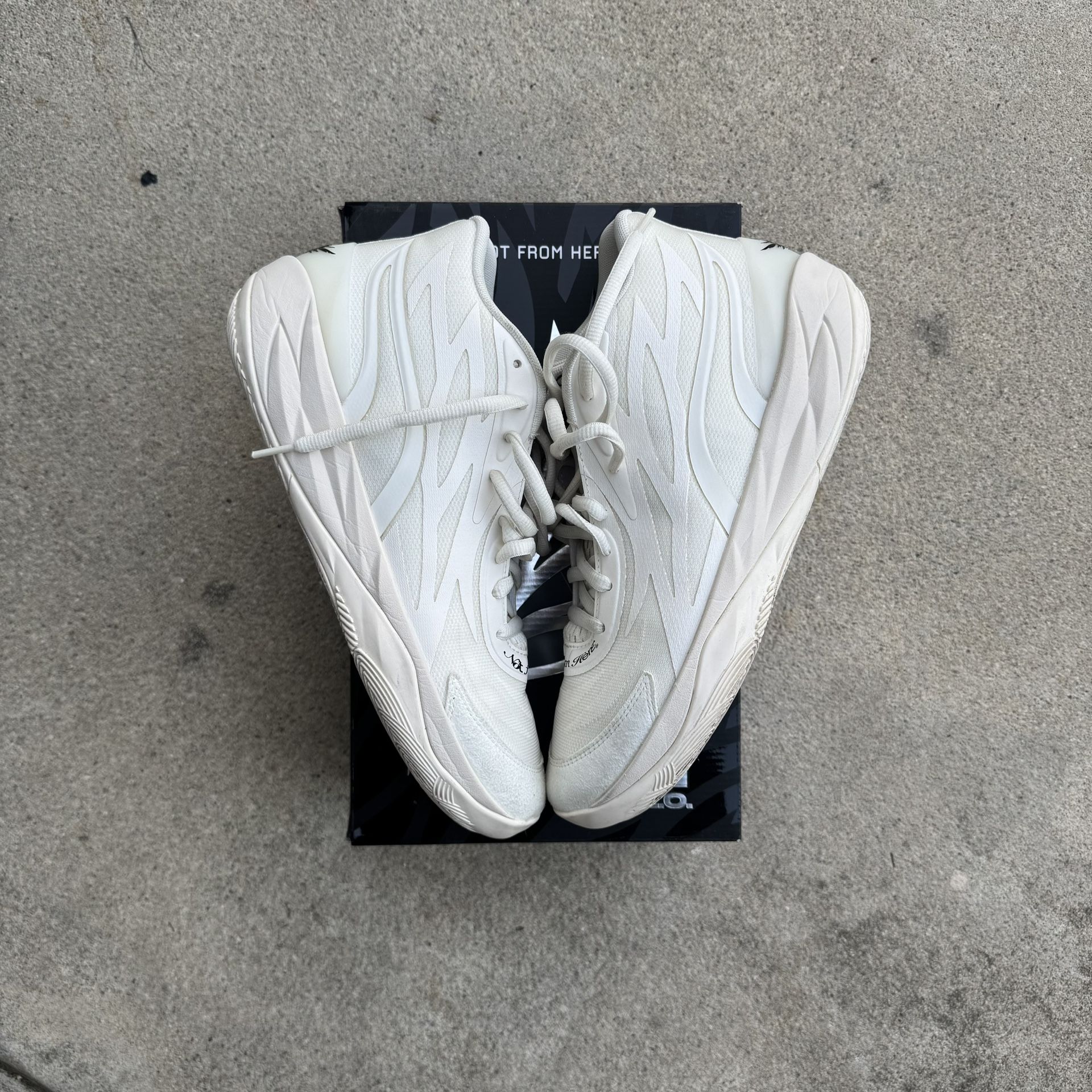 Puma MB.02 ‘Whispers’ PREOWNED