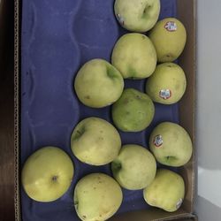 Extra Ripe Green Apples
