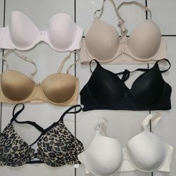 (6) 36C Bras/ $10 For All