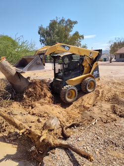 Skid Steer 