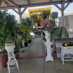 Assorted Artificial Plants And Patio Furniture  $25-$55