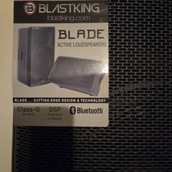 Professional Loud Speaker 