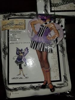 Fairy costume