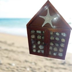 Shell Collection In Wood Display