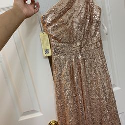 Rose Gold Shimmery Dress