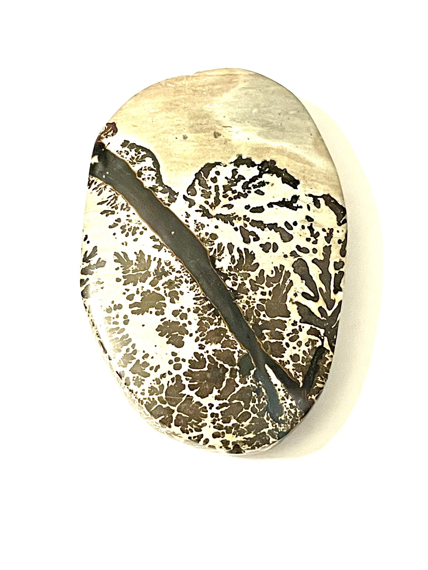 Dendritic Jasper Stone 