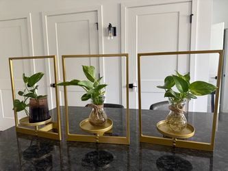 Gold wall  Metal Plant  Stands Set of 3