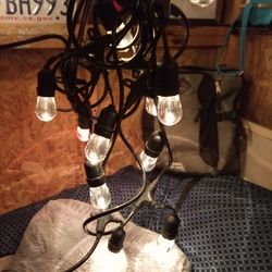 Outdoor/Indoor lights (white&red)