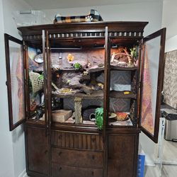 Hand Made Bearded Dragon Enclosure