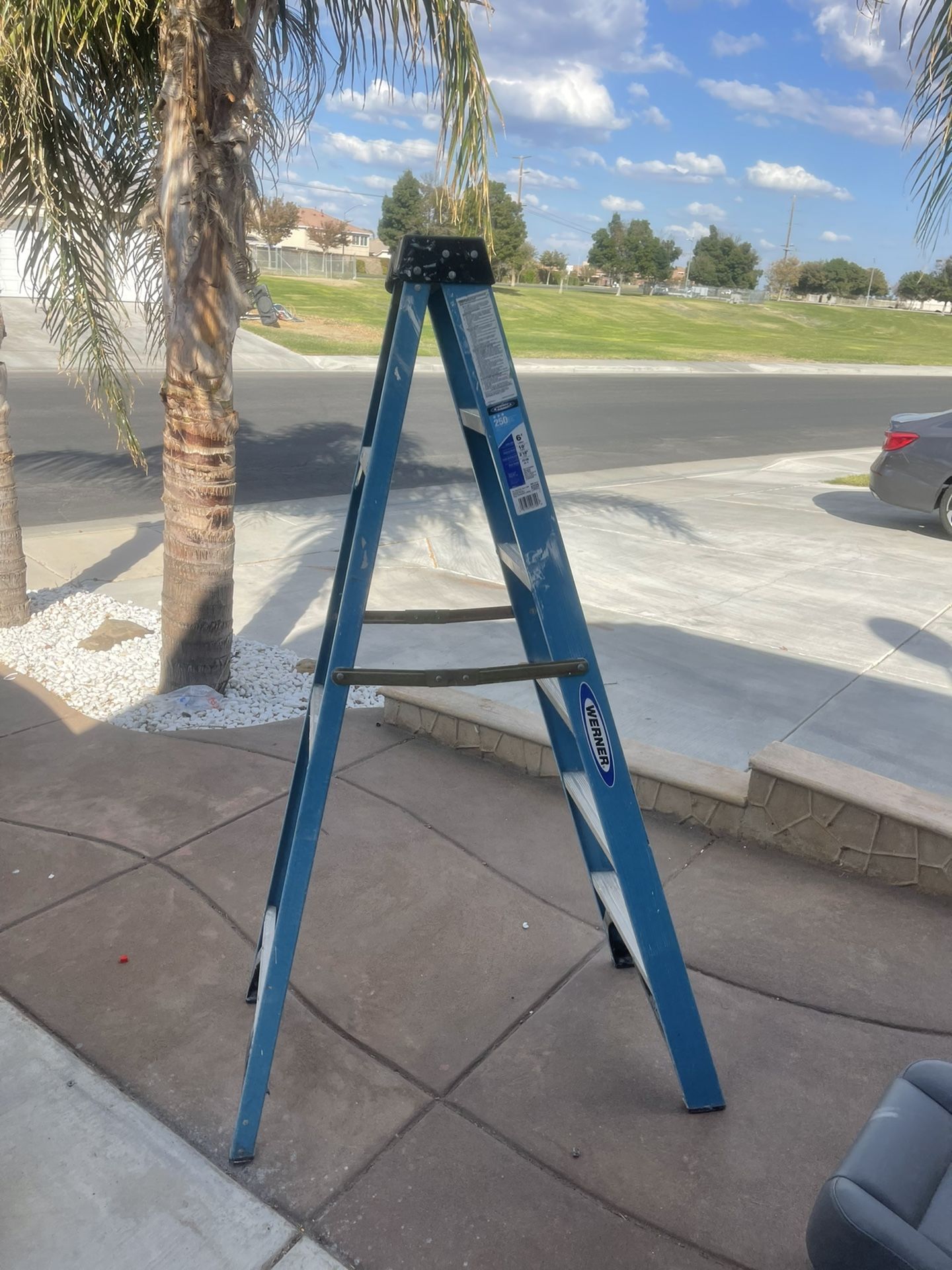 Werner 6 ft. Fiberglass Step Ladder with 250 lb. Load Capacity Type I Duty Ratin