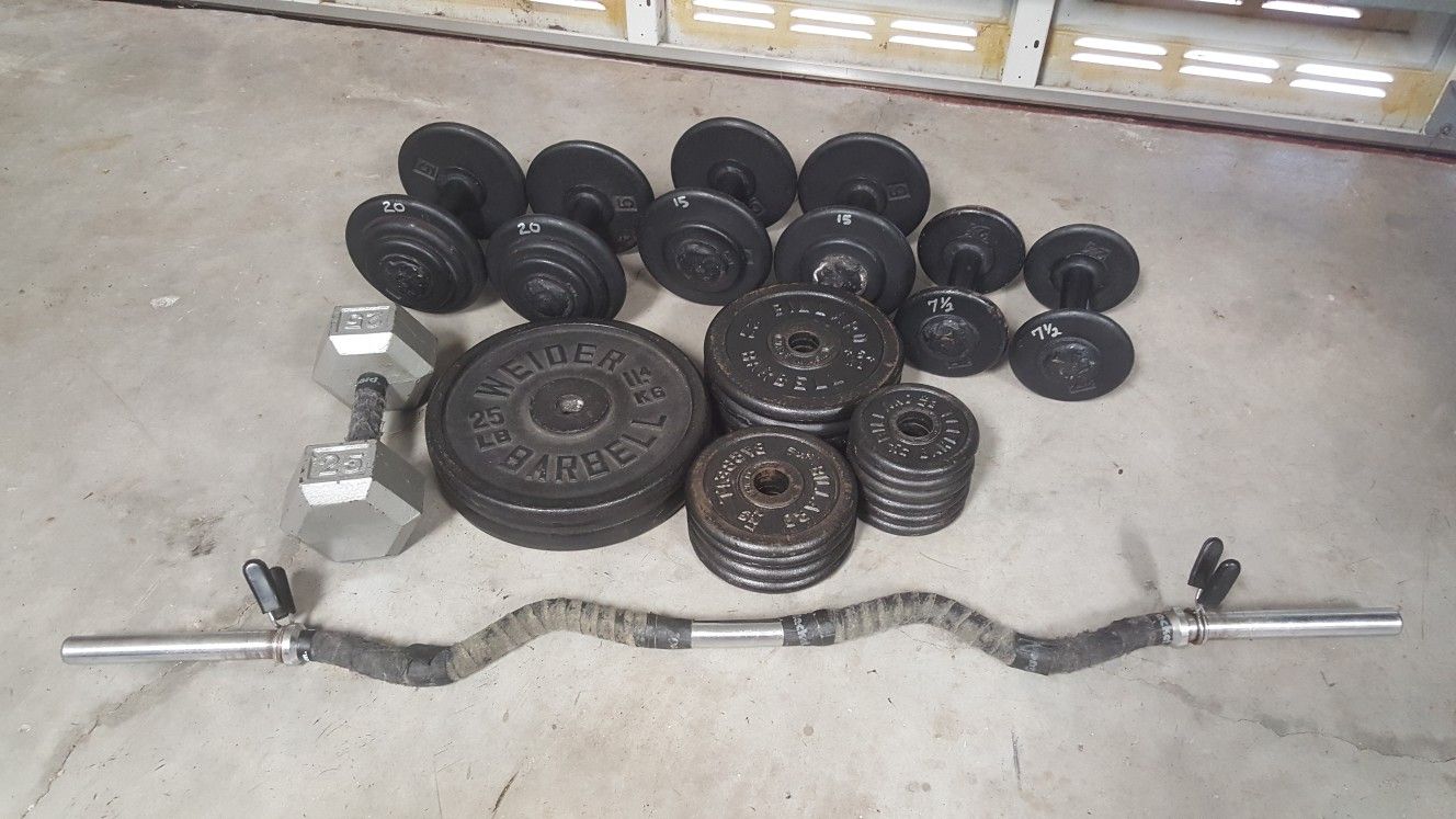 Weight Set - 235 Pounds plus Curl Bar