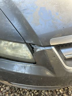 Acura Front Bumper  And Passenger Fender Dog Bit It But Cheap Fix If You Need  