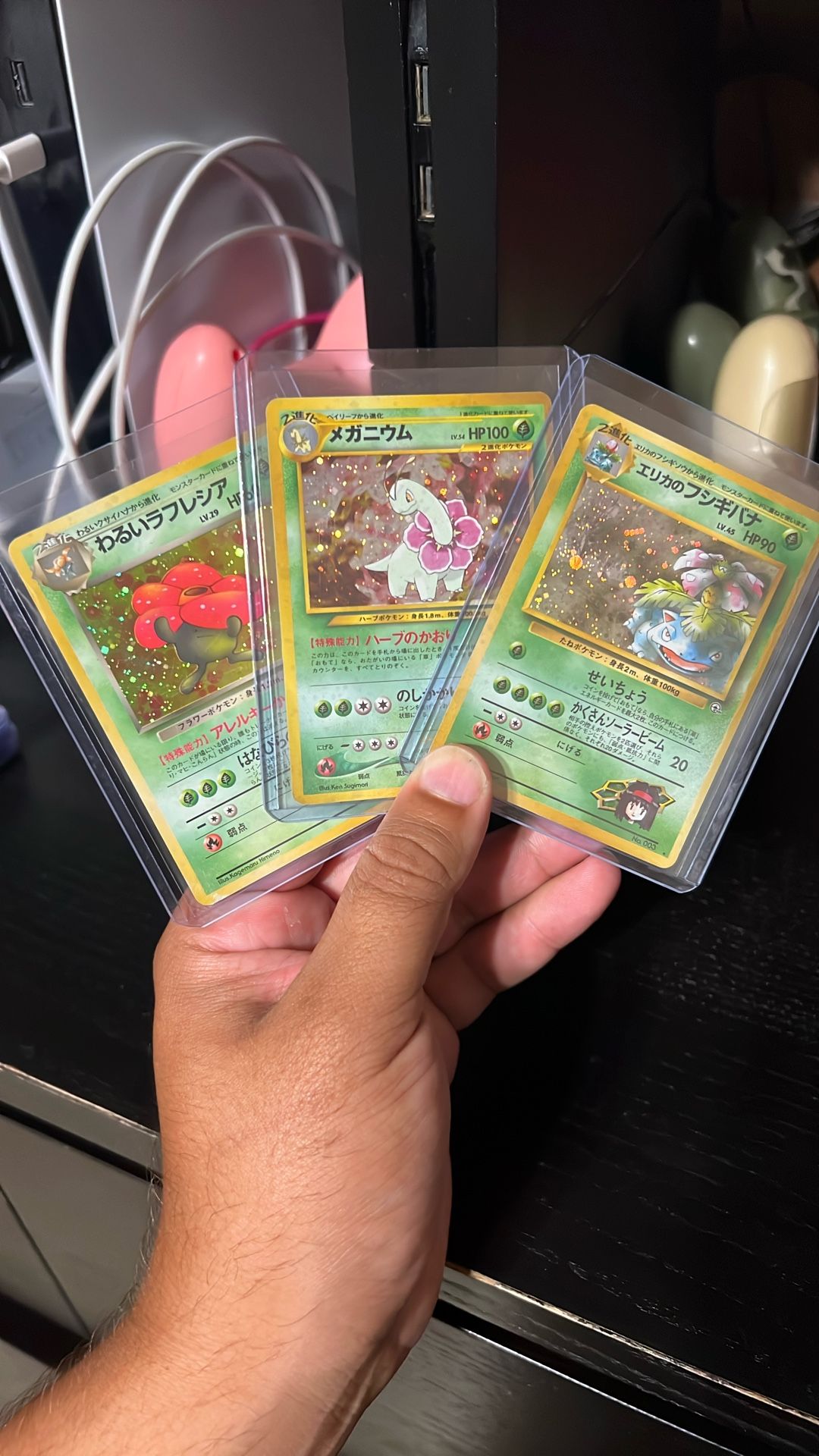 Pocket Monster Holos Japanese Grass type Lot